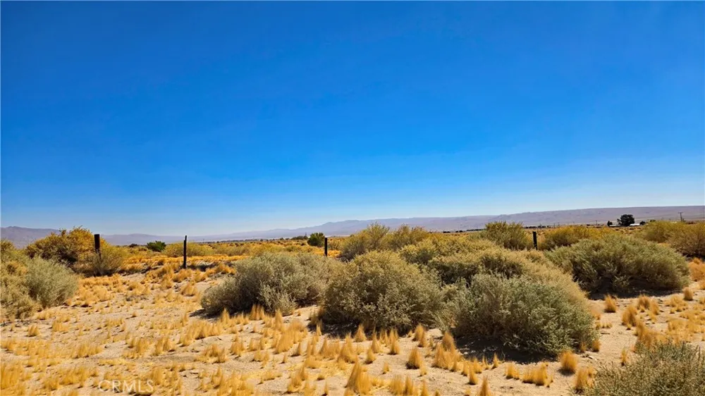 Cholla Rd near Munsey Rd Cantil, CA 93519