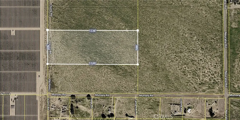 Cholla Rd near Munsey Rd Cantil, CA 93519