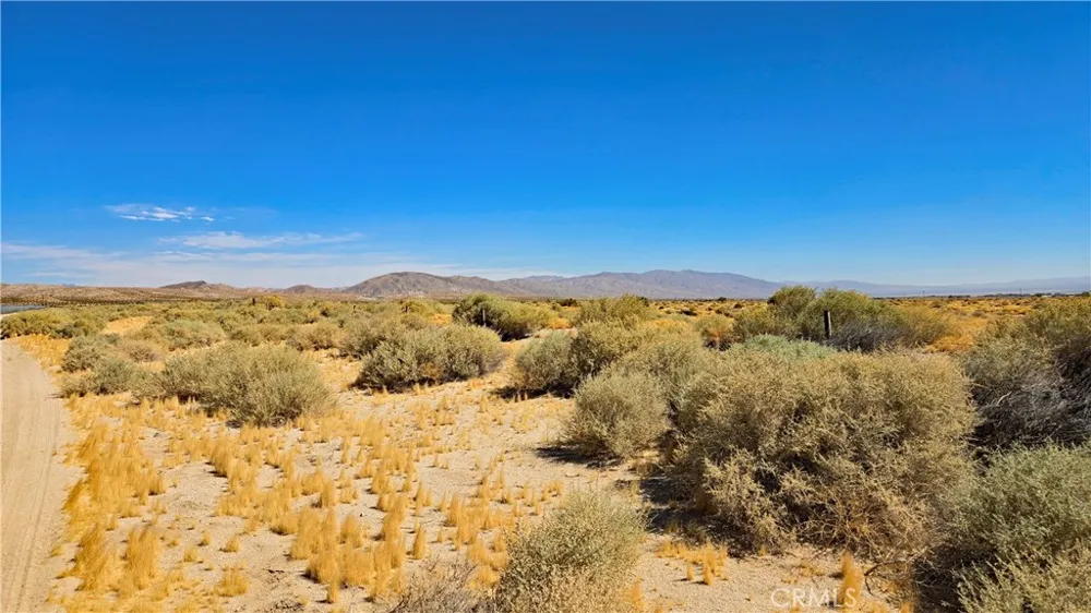 Cholla Rd near Munsey Rd Cantil, CA 93519