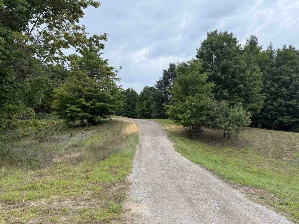 11759 E M 72 Whitewater Township, MI 49690