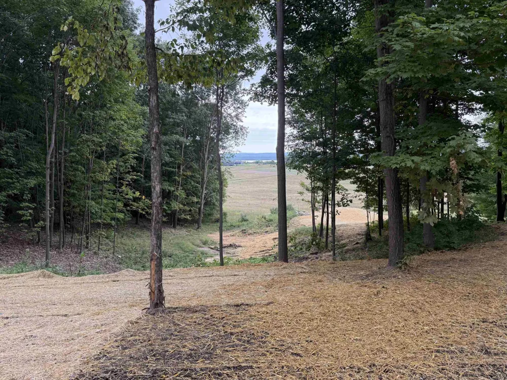 11759 E M 72 Whitewater Township, MI 49690