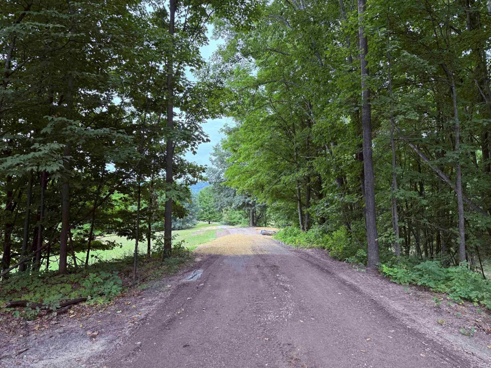 11759 E M 72 Whitewater Township, MI 49690