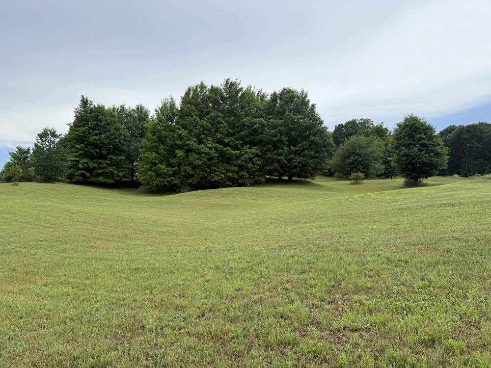 11759 E M 72 Whitewater Township, MI 49690
