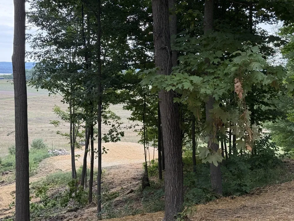 11759 E M 72 Whitewater Township, MI 49690
