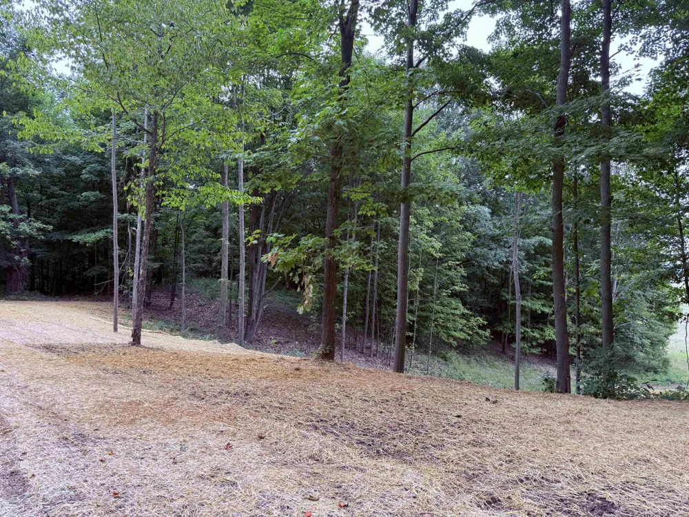 11759 E M 72 Whitewater Township, MI 49690