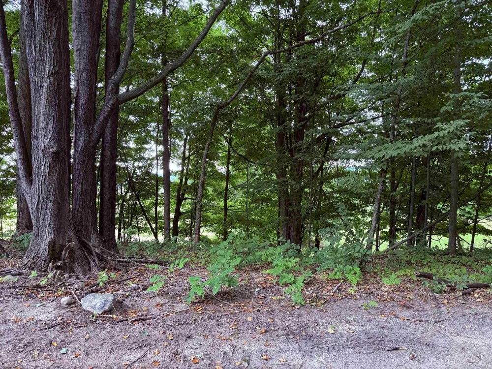 11759 E M 72 Whitewater Township, MI 49690