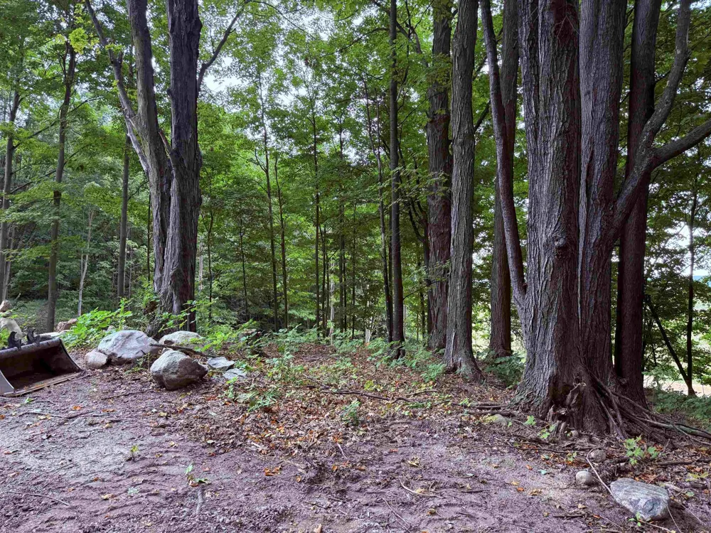 11759 E M 72 Whitewater Township, MI 49690
