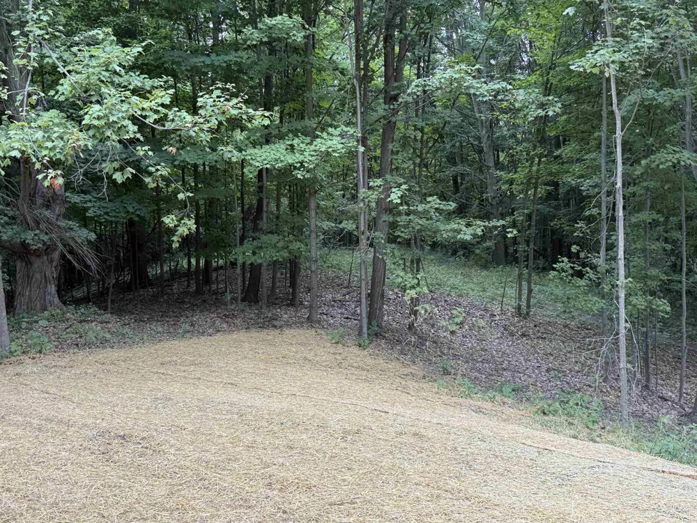 11759 E M 72 Whitewater Township, MI 49690