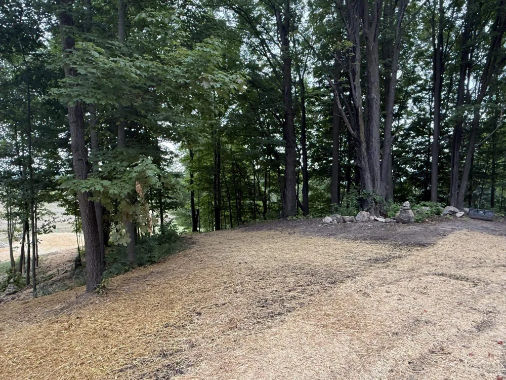 11759 E M 72 Whitewater Township, MI 49690