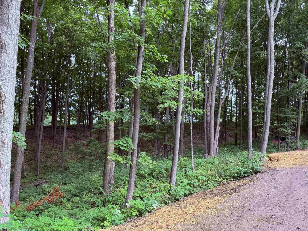 11759 E M 72 Whitewater Township, MI 49690