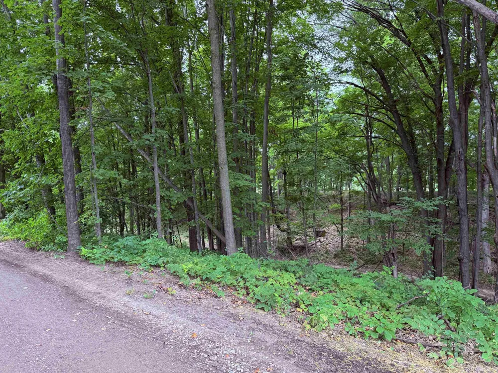 11759 E M 72 Whitewater Township, MI 49690