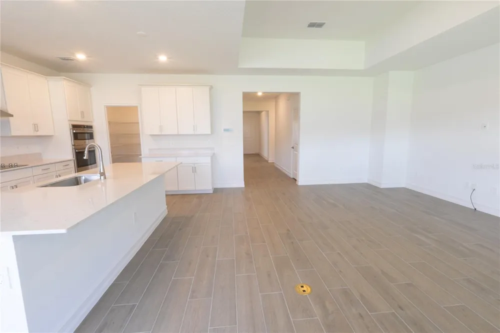 18473 SERENE LAKE LOOP Lutz, FL 33548