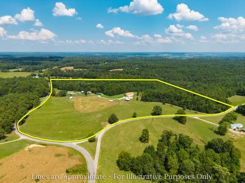 1241 Johnson Branch Rd