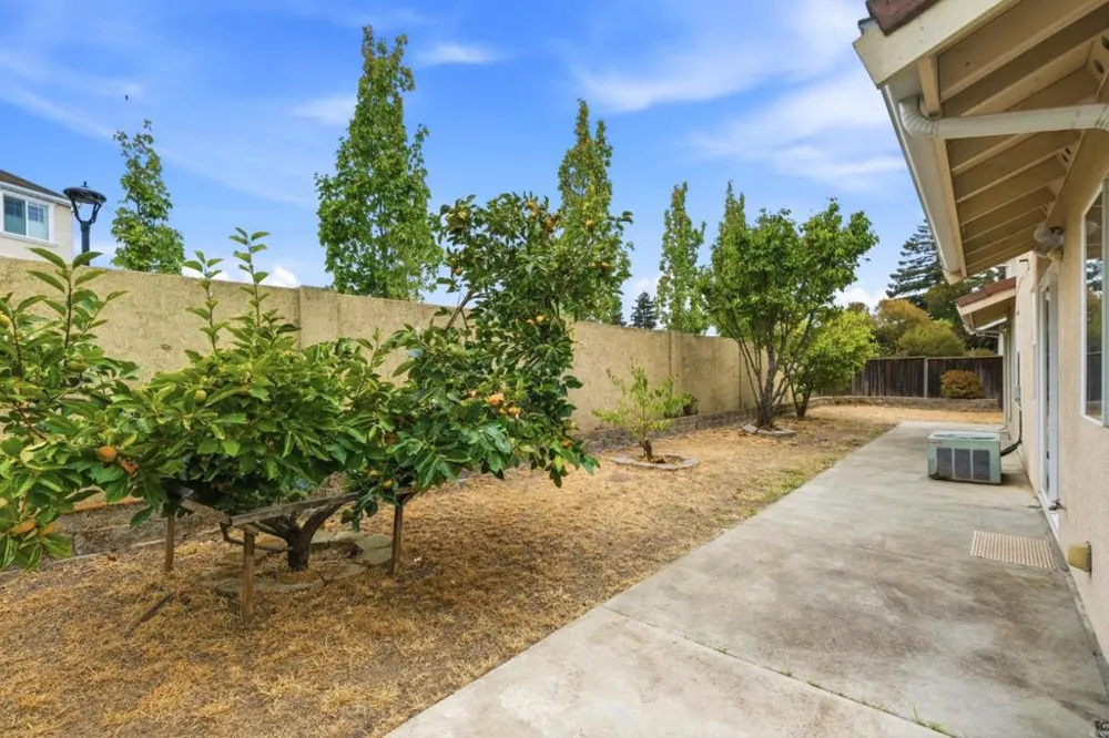 24933 Avocado Court Hayward, CA 94544