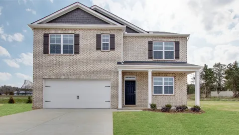 1808 Banded LN