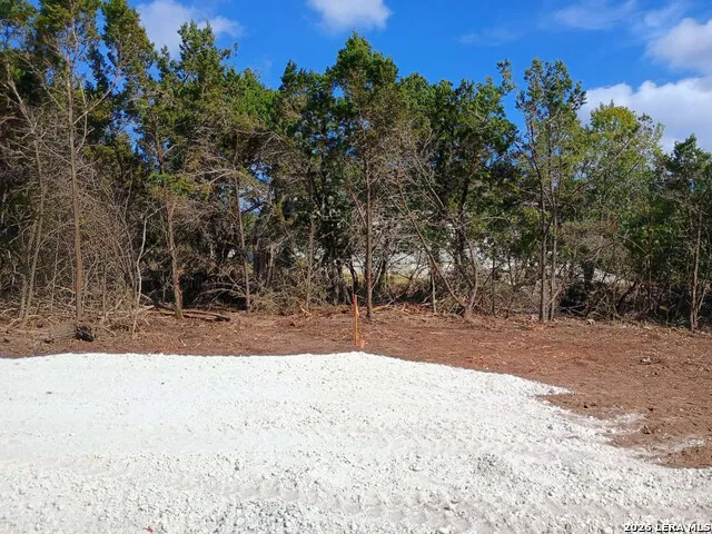 224 FREEDOM ST Fischer, TX 78623