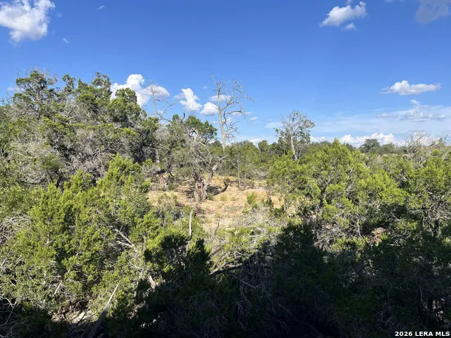 224 FREEDOM ST Fischer, TX 78623