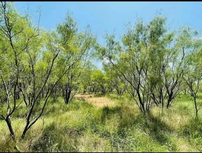 602 County Road 383 Woodson, TX 76491