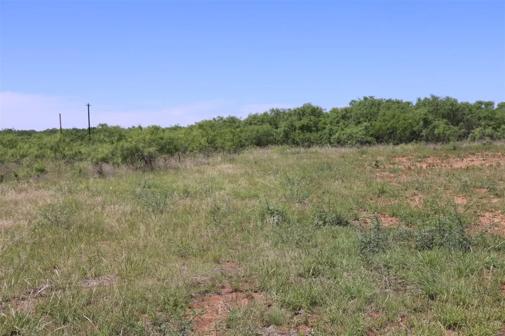 602 County Road 383 Woodson, TX 76491