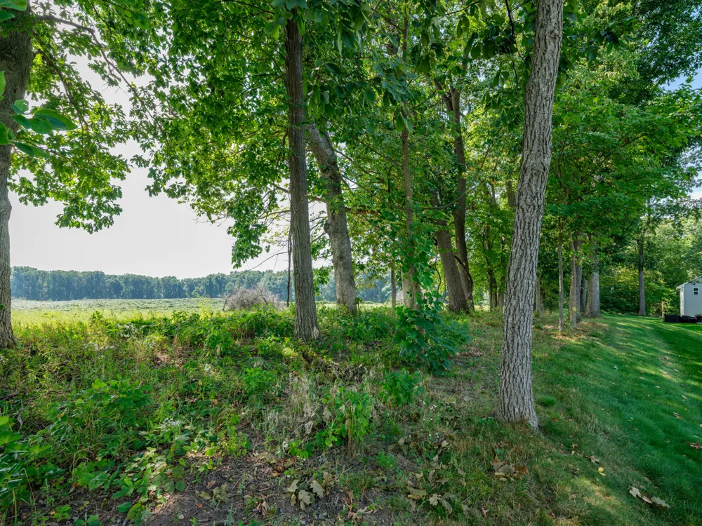 8569 Brighten Trail Mattawan, MI 49071