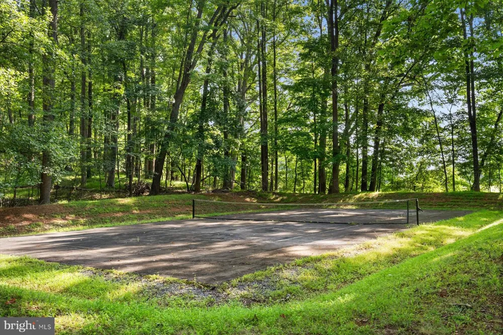 9565 BRIAR LANE Delaplane, VA 20144