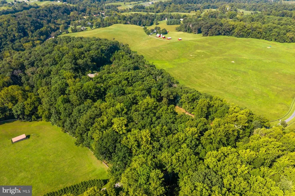 9565 BRIAR LANE Delaplane, VA 20144