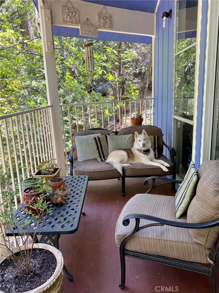 9430 Fern Forest Falls, CA 92339