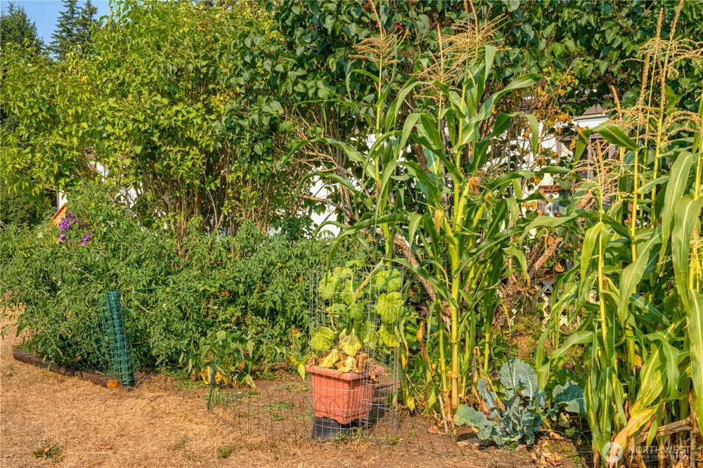 838 W Axton Road #54 Bellingham, WA 98226