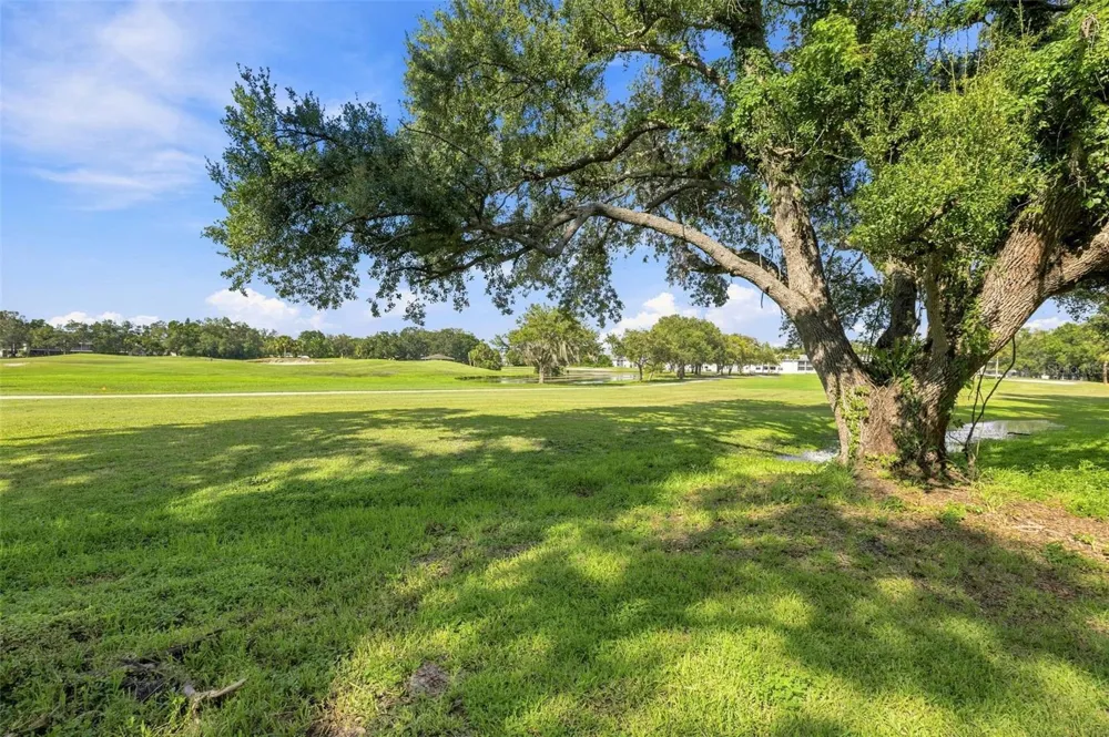 700 STARKEY ROAD #311 Largo, FL 33771