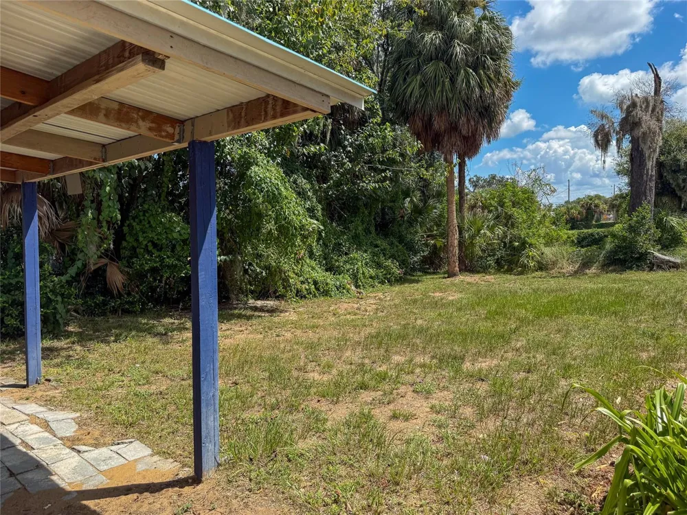19 MARY STREET Eustis, FL 32726