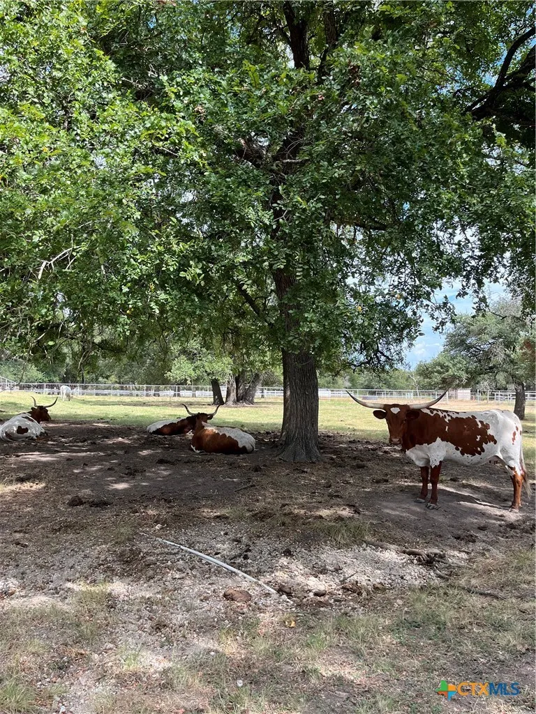 4009 Highway 183 Lampasas, TX 76550