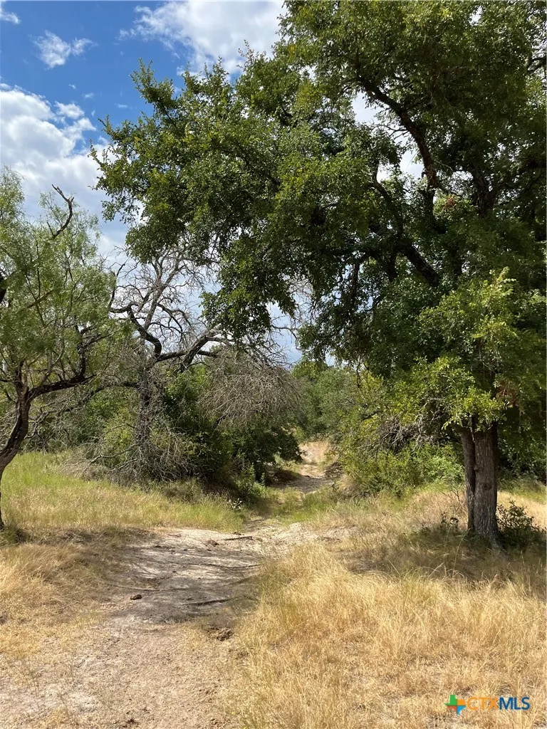 4009 Highway 183 Lampasas, TX 76550
