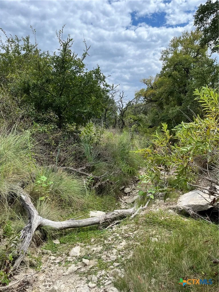 4009 Highway 183 Lampasas, TX 76550