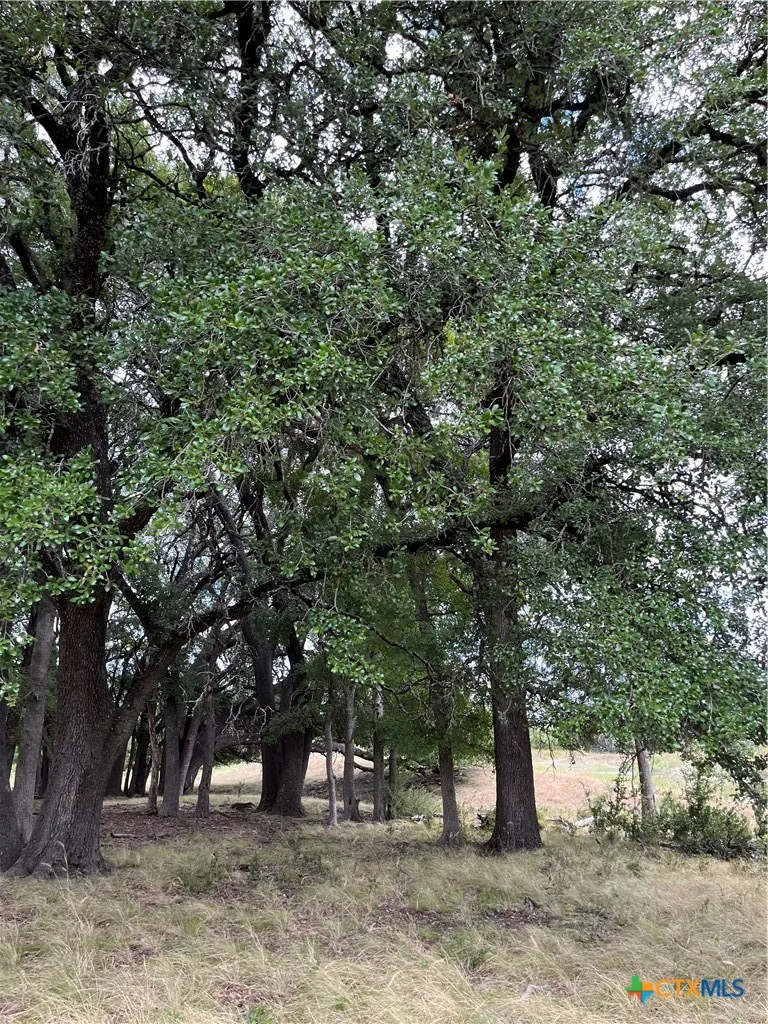 4009 Highway 183 Lampasas, TX 76550