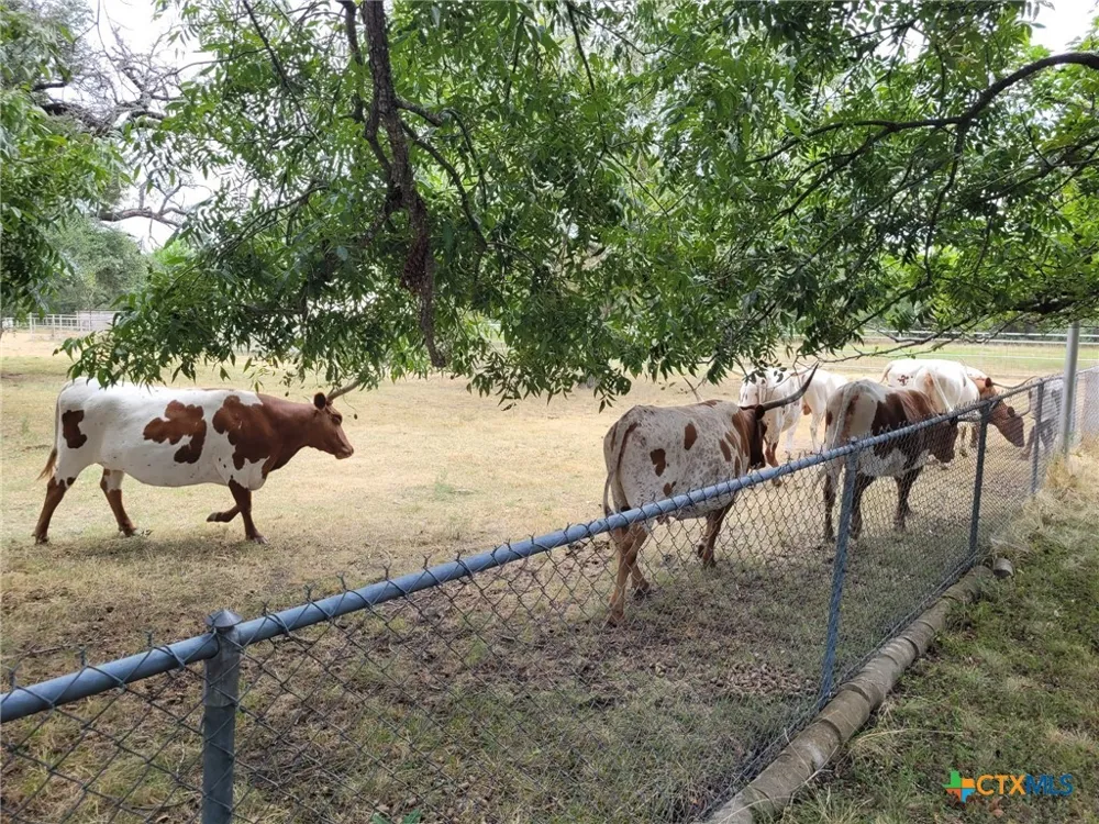 4009 Highway 183 Lampasas, TX 76550