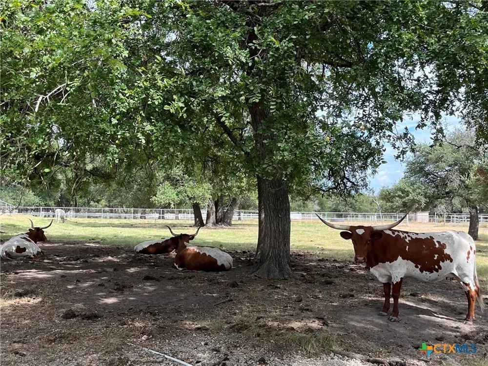 4009 Highway 183 Lampasas, TX 76550