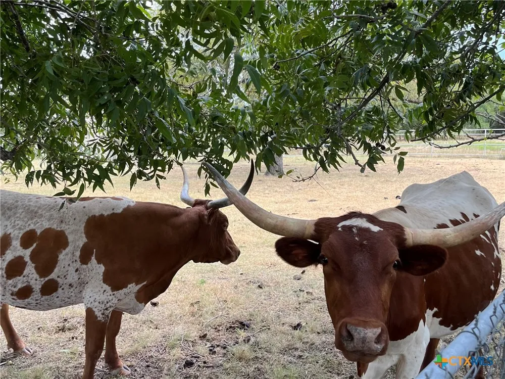 4009 Highway 183 Lampasas, TX 76550