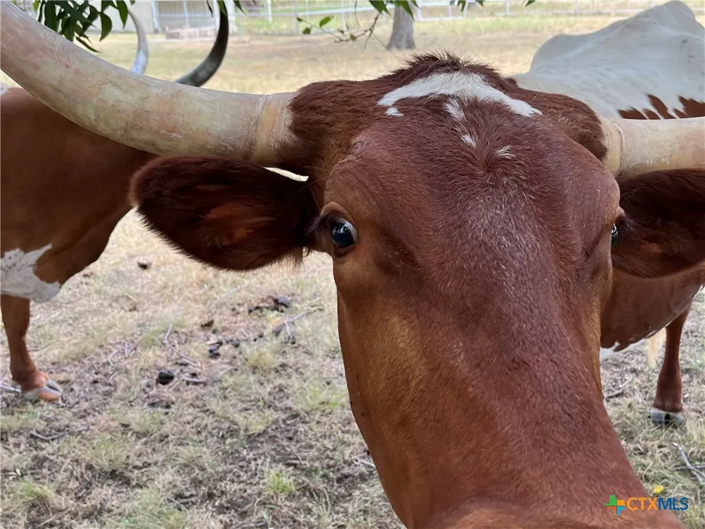 4009 Highway 183 Lampasas, TX 76550