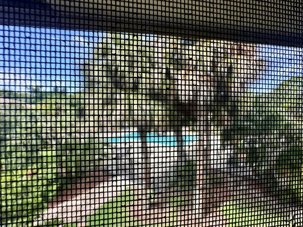 9292 Sabal Ridge Circle #D Boca Raton, FL 33428