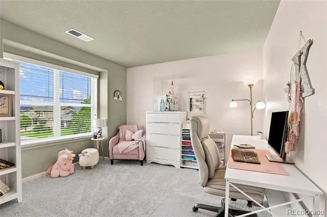 386 Matsuno Street Brighton, CO 80601