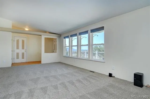 16370 County Road 356-12 Buena Vista, CO 81211