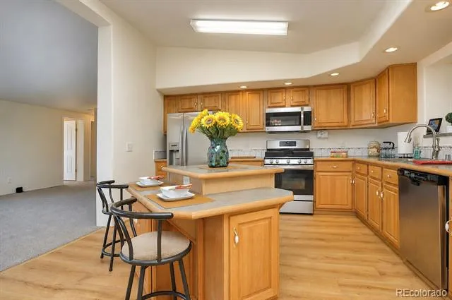 16370 County Road 356-12 Buena Vista, CO 81211
