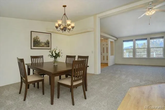16370 County Road 356-12 Buena Vista, CO 81211