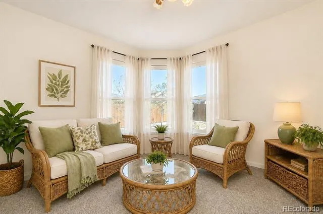 16370 County Road 356-12 Buena Vista, CO 81211