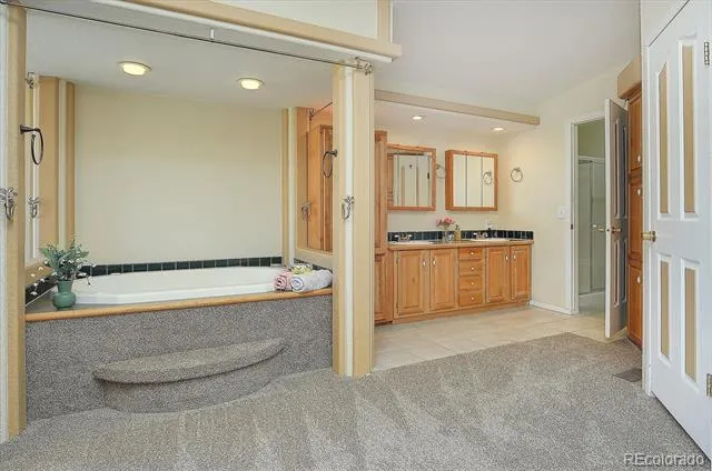 16370 County Road 356-12 Buena Vista, CO 81211