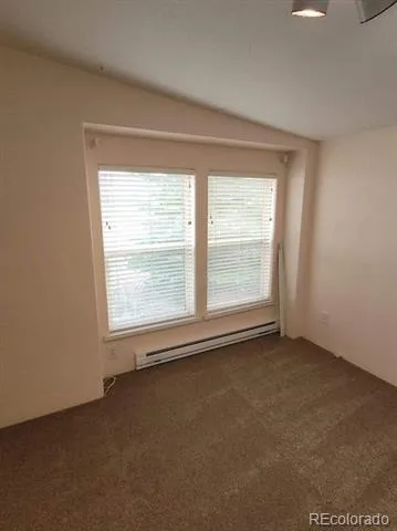 16370 County Road 356-12 Buena Vista, CO 81211
