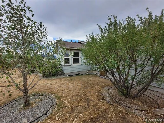 16370 County Road 356-12 Buena Vista, CO 81211