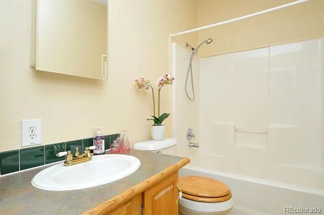 16370 County Road 356-12 Buena Vista, CO 81211