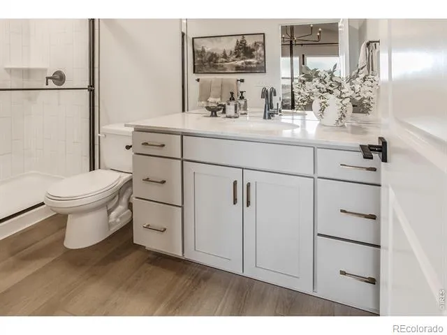 932 Trumpet Lane Windsor, CO 80550