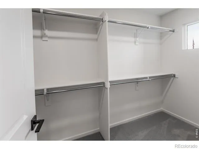 932 Trumpet Lane Windsor, CO 80550